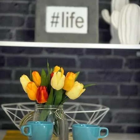 Lägenhet Center- Flumen Rijeka