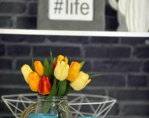 Апартаменты Center- Flumen Риека